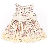 Aikobaby Baby Girls Sleeveless Flower Printed Lace Princess Dresses Summer Skirts