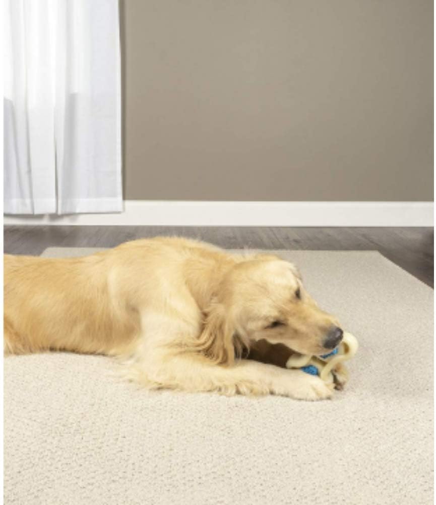 PetSafe PetSafe Busy Buddy Forever Bone Dog Chew Toy, Treat Holding Dog Toy for Strong Chewers Hard Wearing, for small Dogs S - Image 4