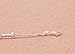 DOINSHOP Little Star Women Foot Jewelry Barefoot Sandal Beach Chain Ankle Bracelet