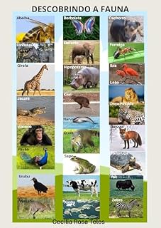 Livro Descobrindo a Fauna