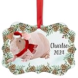 Hairless Pink Skinny Pig Christmas Ornament 2024