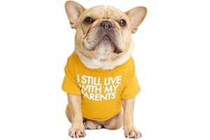 MISS PET French Bulldog Dog Shirt for Pet Clothes Puppy T-Shirts Cat Tee Breathable Stretchy Costumes Medium Yellow