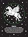 The Night Sky: Stories of the Stars Bedtime Shadow Book