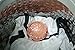 Grand Fusion Lady Things Laundry Sphere, Deluxe Bra Washing Ball for Delicates, Lingerie, and Intimates