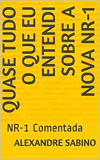Livro Quase tudo o que eu entendi sobre a Nova NR-1: NR-1 Comentada