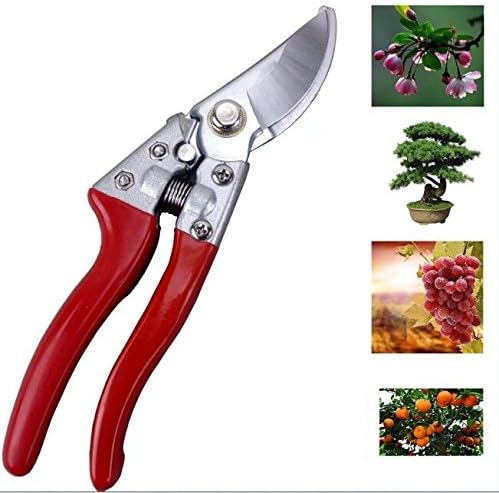 Akfal Pruning Shears - Heavy Duty Hand Garden Pruners Gardening - Versatile, Best Shears for Tree, Rose, Bonsai and Bush