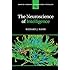 The Neuroscience of Intelligence (Cambridge Fundamentals of Neuroscience in Psychology)
