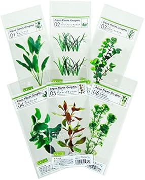 Amazon 水草シール 全6種類セット みずものコム 人工水草 通販