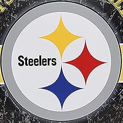 FOCO Pittsburgh Steelers NFL Metal Distressed