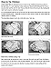 Elastic Food Ties for Ronco, hamilton beach, Oster, Black & Decker Rotisseries & Roasters (50)