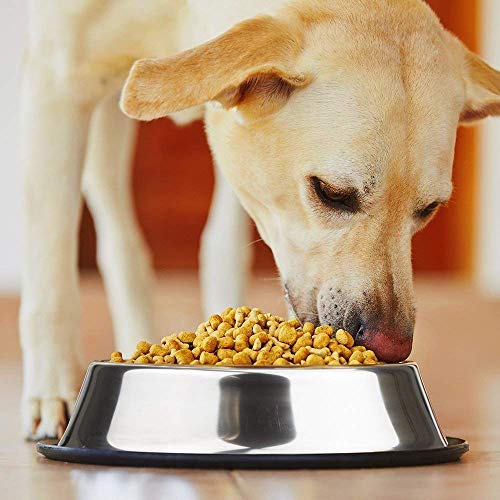 Mlife Stainless Steel Dog Bowl with Rubber Base for Small/Medium/Large