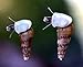 20+ Malaysian Trumpet Snails, 1/4-3/4 inch - Excellent Freshwater Tank Cleaners, consumers of Bottom Debris and Food Remains, Algae Eaters!