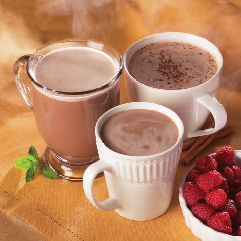 Healthwise Hot Chocolate Variety Pack (7 packets of 0.828 oz, net 5.8 oz) - High Protein Hot Chocolate Variety Pack