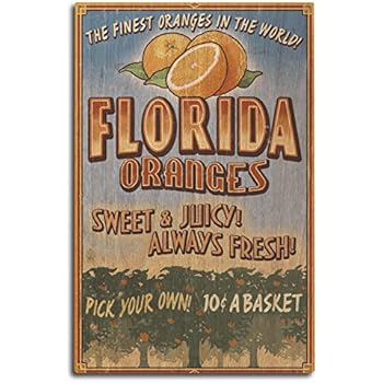 Lantern Press Florida - Orange Grove Vintage Sign (10x15 Wood Wall Sign, Wall Decor Ready to Hang)