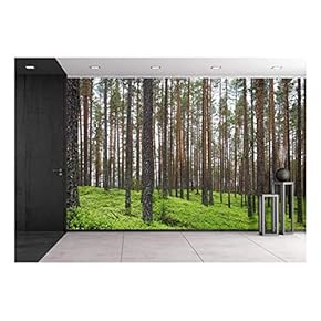 Spring Forest - Removable Wall Mural | Self-Adhesive Large Wallpaper - 66x96 inches