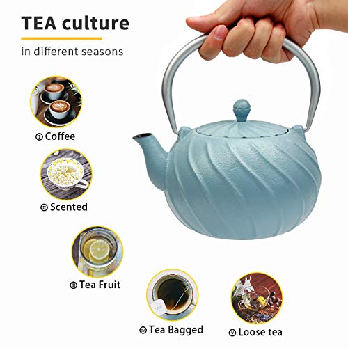 Cast Iron Teapot, TOPTIER Japanese Cast Iron Tea Kettle with Infuser, Cast Iron Tea Kettle