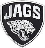 NFL Silver Auto Emblems