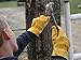 Suse's Kinder Kids Leather Work Gloves, Premium Top Grain Cowhide, For Gardening, Mechanic, Ranch, Riding, Weeding, Pruning (med-ages 6-8)