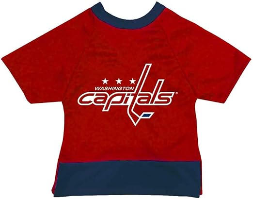 washington capitals all star jersey
