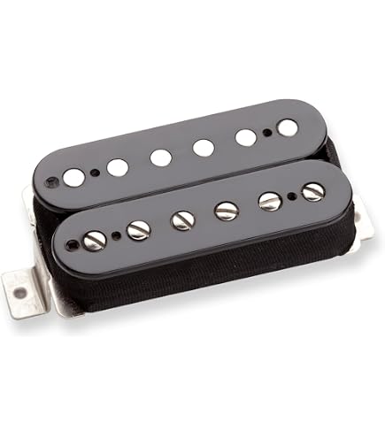 Amazon.com: Seymour Duncan Custom 5 - Bridge - Black - Electric