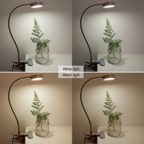 LEPOWER Clip on Light / Clip on Lamp/ Light Color Changeable/ Night Light Clip on for Desk, Bed Headboard and Computers (Silver)