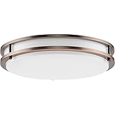 Progress Lighting Abide Collection 5-CCT Integrated LED Urban Bronze Contemporary 14" Medium Flush Mount Light
