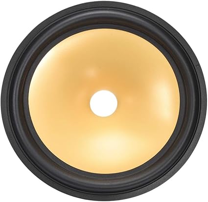 8 inch speaker cone