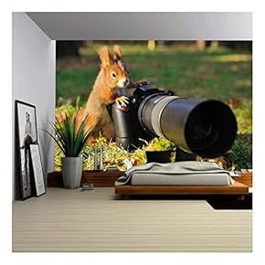 Squirrel as a Photographer with Big Professional Camera - Removable Wall Mural | Self-Adhesive Large Wallpaper - 66x96 inches