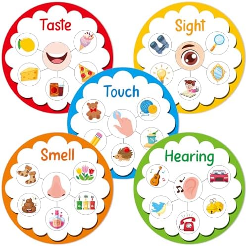 The 5 Senses (Let's Learn About): Roca, Nuria, Curto, Rosa Maria