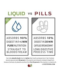 Gallbladder Complete – Limpiador de piedras líquidas orgánicas naturales, Support, suplemento de fórmula de lodos, 8 fl oz, 1