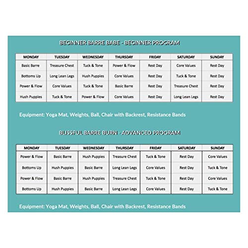 Hipshake Blissful Barre Workout Dvd 8 Barre Workouts For Women Low Impact Strength Training Workout Program Beginners Advanced Pricepulse