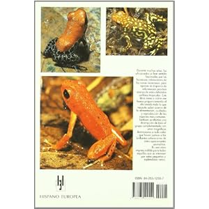 Ranas flecha / Dart Frog (Manuales Del Terrario) (Spanish Edition)