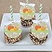 Pumpkin Patch - Fall & Halloween Party Favor Gift Tags (Set of 20)