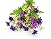 Beebel 2PCS Cineraria Artificial Flower Bouquet Home Office Decor (Deep Purple)