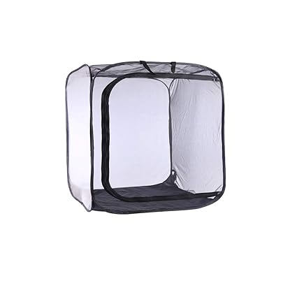 Leoie Mini House Garden Growing Tents Insect Flower Plant Translucent Greenhouse 30*30*30