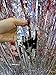 3.25 x 6.7 ft (2 Pack) Tinsel Foil Fringe Curtains Party Decorations Photo Booth Backdrop | Wedding Décor Baby Shower Graduations Valentine Day Bachelorette Birthday Decorations (Silver)