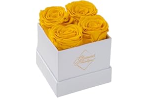 GLAMOUR BOUTIQUE Preserved Roses in a Box - Valentines Day Gifts for Her & Mom, 4 Roses Flowers Decor for Birthday Gift, Cased in A Square Gift Box with Lid, 4” x4” x5 - Yellow