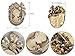 Alilang Vintage Inspired Crystal Rhinestone Victorian Lady Cameo Brooch Pin Maiden Flower Ribbon Bow Pendant