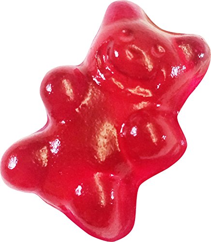 Thames & Kosmos Gummy Candy Lab Science Kit