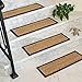 Natural Area Rugs - Seagrass Stair Tread, Beach Collection, Natural Fiber, Handmade & Latex Backed, Espresso 9