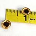 10mm Brown Teddy Bear Glass Eyes Doll Irises for Art Polymer Clay Taxidermy Sculptures or Jewelry Making Set of 2