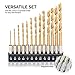 Tooluxe 10171L 1/4” Hex Shank Titanium Drill Bit Set | 13 Piece | Quick Change | High Speed Steel Construction | Titanium Nitride Coating