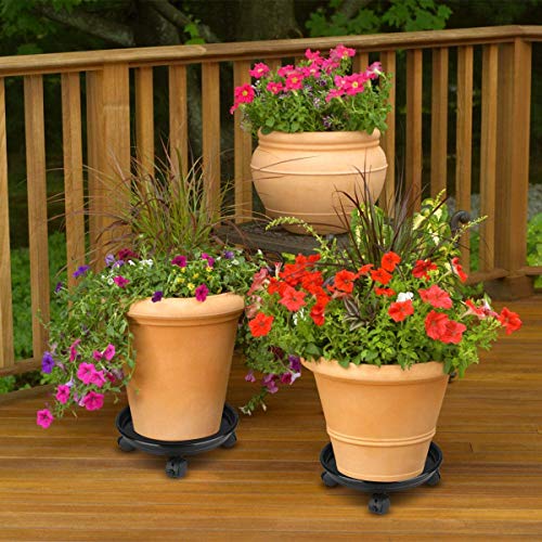 Coadura Plant Caddy with Wheels 14 Inch 4 Pack Plant Caddy on Wheels