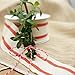 CT CRAFT LLC Ivory Cotton Red Stripes Ribbon 1.5