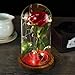 Nalosun Beauty and The Beast Rose Enchanted Red Silk Rose with Fallen Petals in Glass Dome on a Wooden Base Best Gift for Her,Mothers Day Valentine's Day Wedding Anniversary (A:Red Silk Rose)