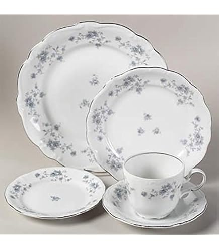Amazon.com | Bavaria Johann Haviland Blue Garland 20 Piece Set