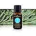 Black Spruce Essential Oil - Smells Like Christmas! - 100% Pure, Best For Better Breathing, Aromatherapy, Massage And Immune Boost, 15 ml