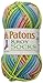Patons Kroy Socks Yarn - (1) Gauge - 1.75 oz - Meadow - For Crochet, Knitting & Crafting