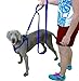 Elenest 2 Handles Dog Leash - 8FT 2Inch Blue Dual Handle Dog Leash - Free Bonus Dog Tag - Dog Leashes for Large Dogs Heavy Duty - Leash for Dogs Who Pull - Dog Leash Large Heavy Duty
