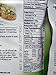 Bumble Bee Lemon & Pepper Seasoned Tuna 2.5 Oz Qty 3 Pouches